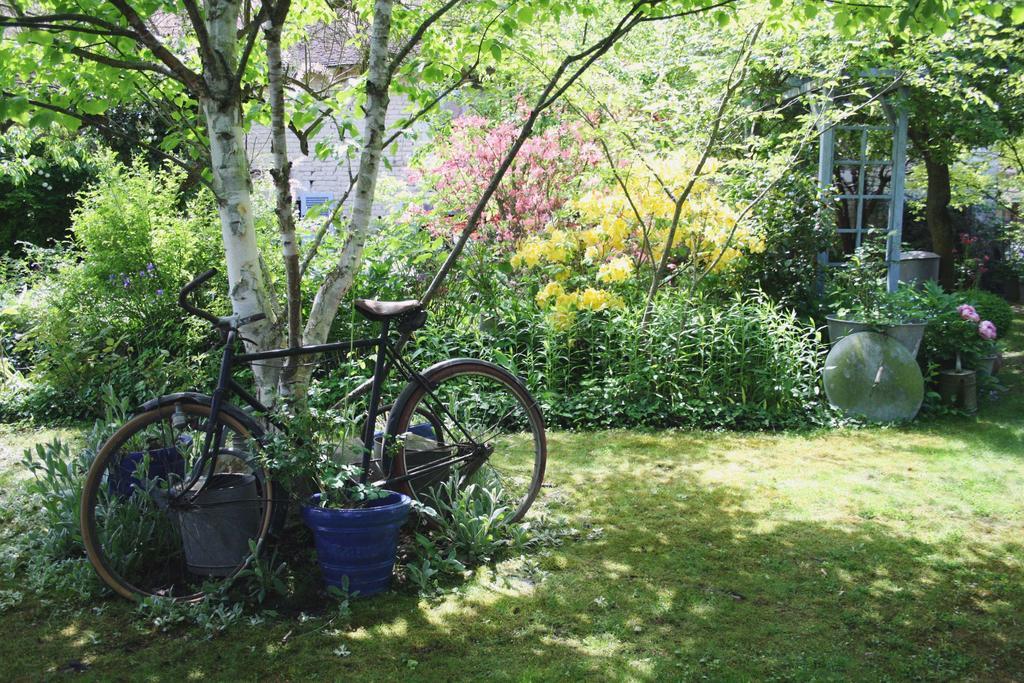 Le Bonheur A La Campagne Bed & Breakfast Lesmont Dış mekan fotoğraf