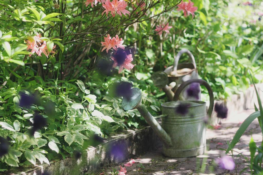 Le Bonheur A La Campagne Bed & Breakfast Lesmont Dış mekan fotoğraf